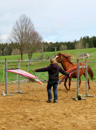 Gelassenheitstraining Poolnudeln